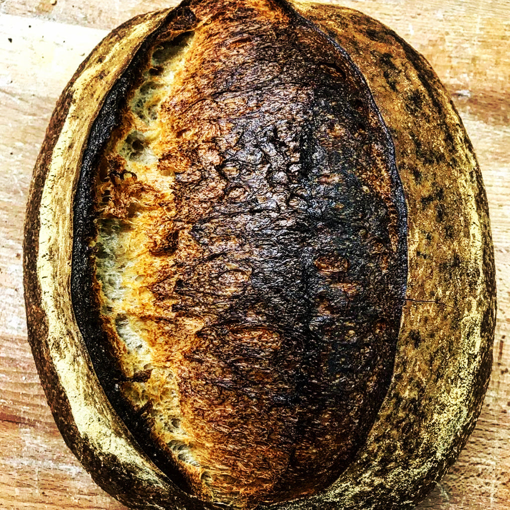 Country Sourdough Large Bloomer - 1KG
